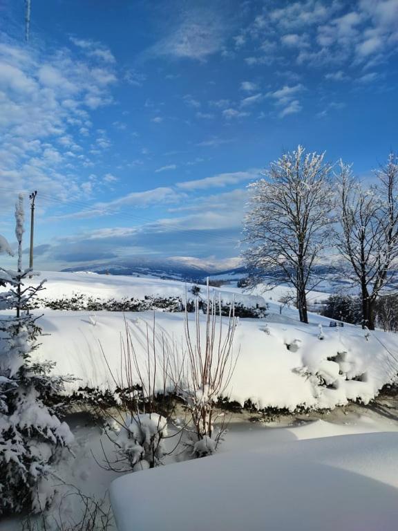 Hotel Kacenka Králíky Buitenkant foto